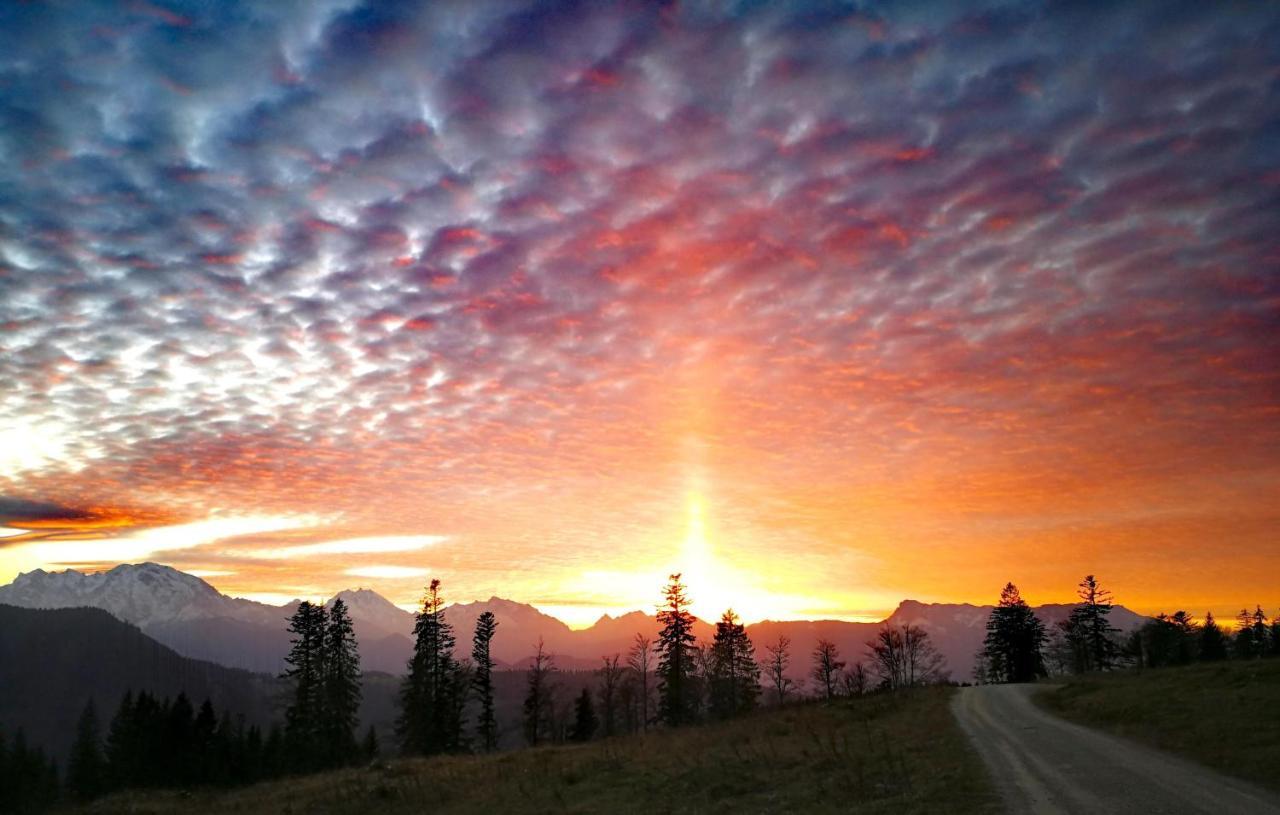 Schnaitstadl-Alm Selbstversorgerhuette Krispl Exteriér fotografie