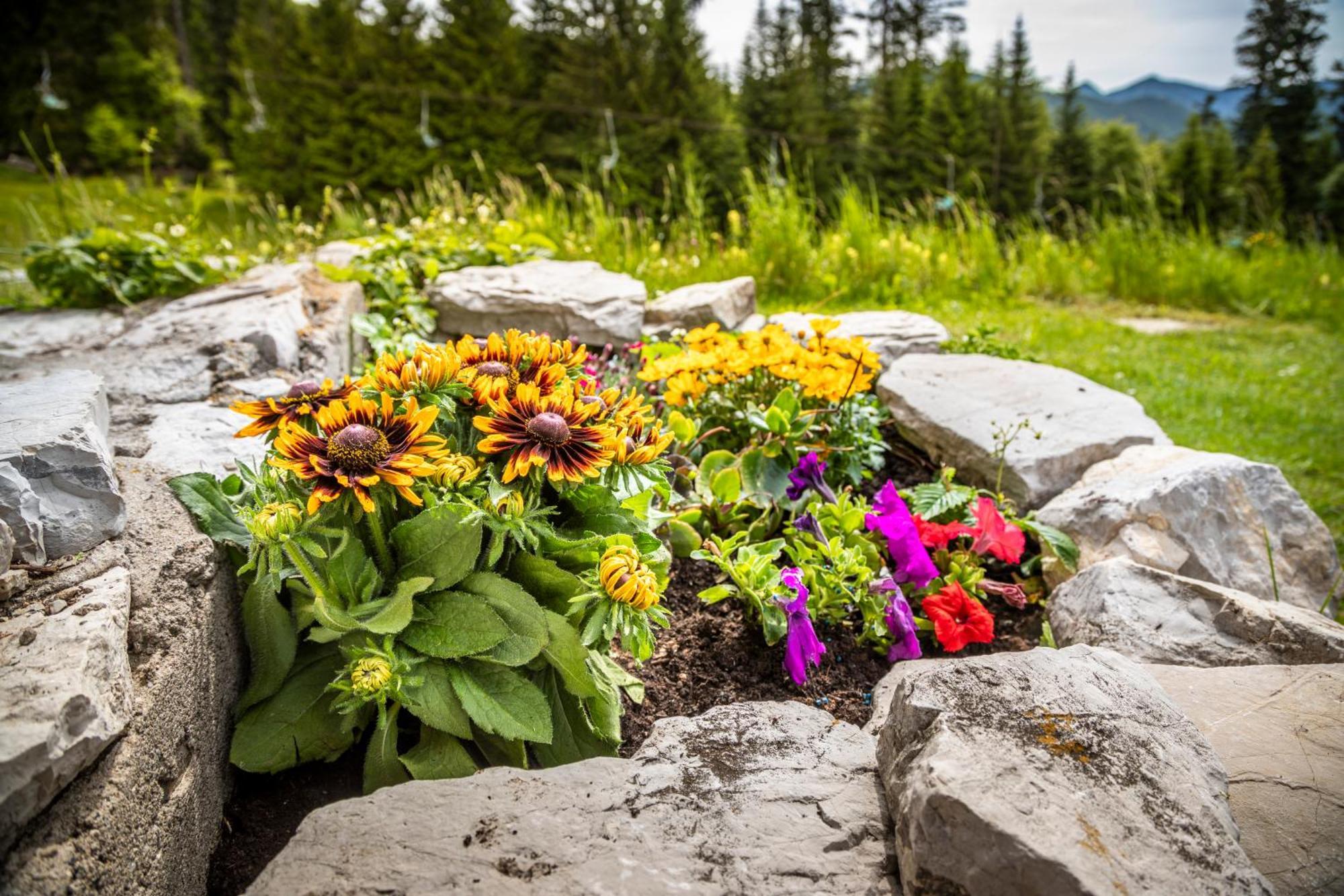 Schnaitstadl-Alm Selbstversorgerhuette Krispl Exteriér fotografie